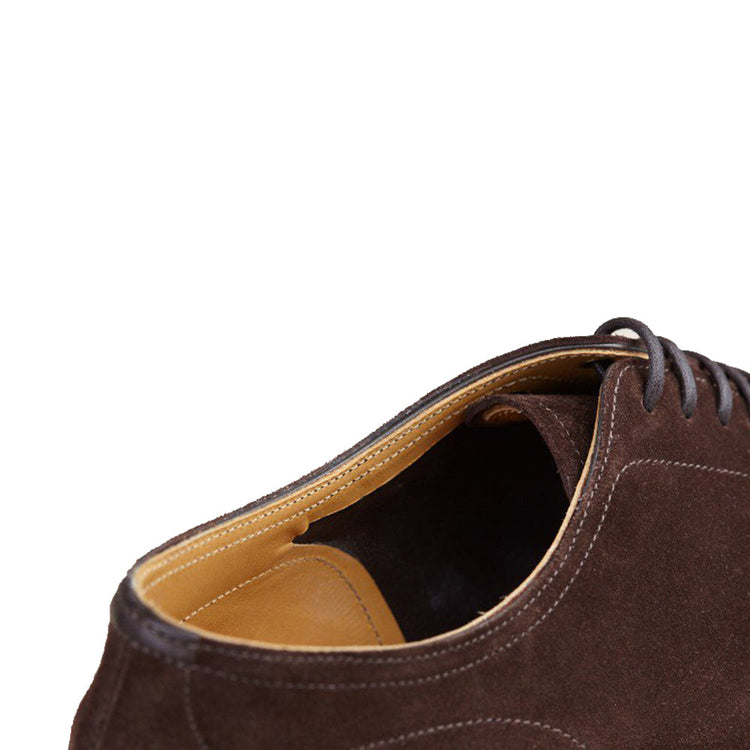 Brown Suede Hamlet Derby Shoes